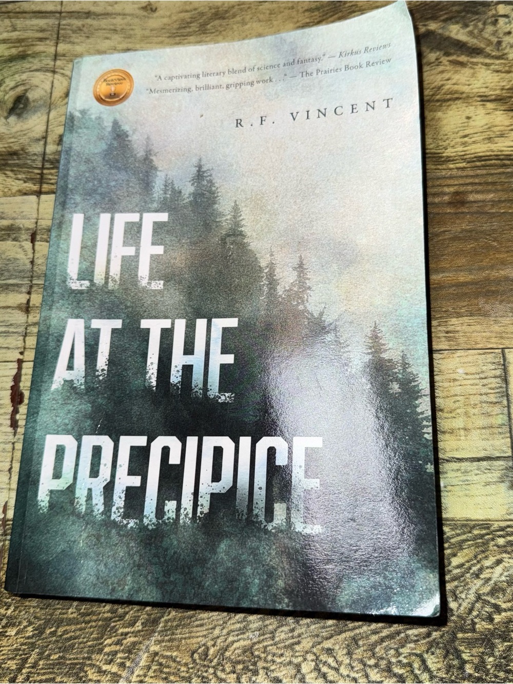 Life at the Precipice by R.F. Vincent | Paperback | Mystery • Literary Fiction •